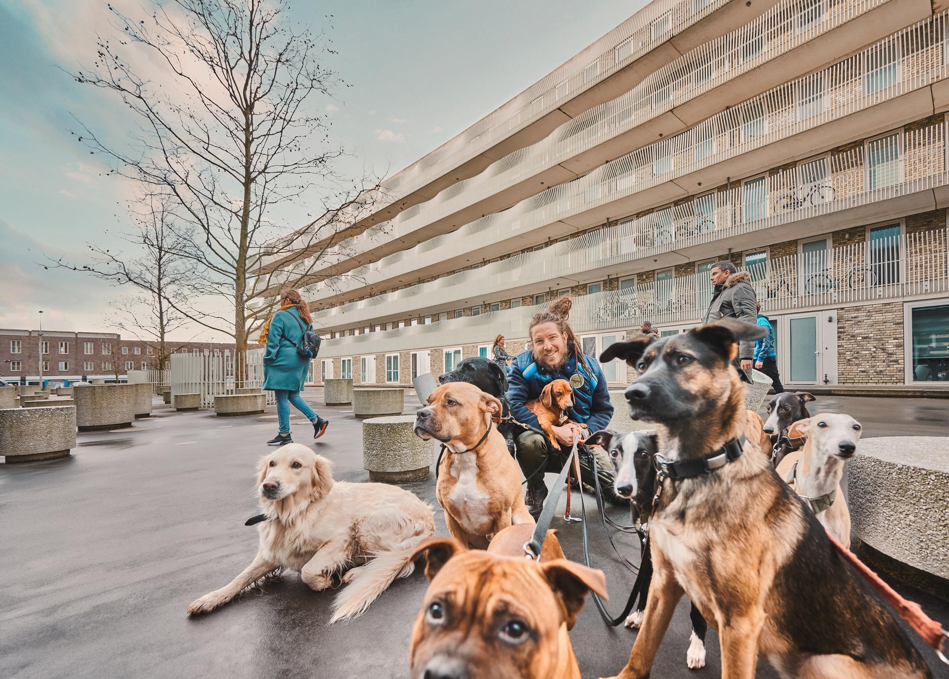 ondernemers inkomstenbelasting