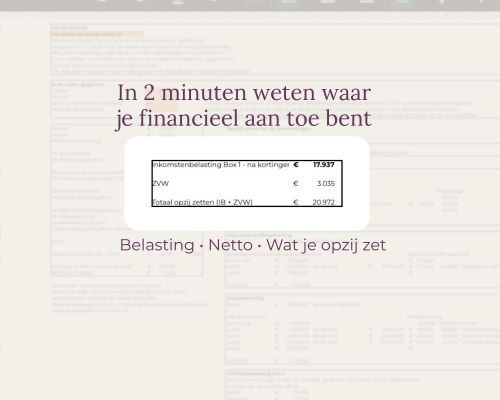 template opzij zetten voor je belasting in 2 minuten weten waar je aan toe bent